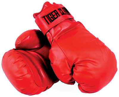 Aerobics on Cardio Training Gloves 10 Oz 12oz 14oz